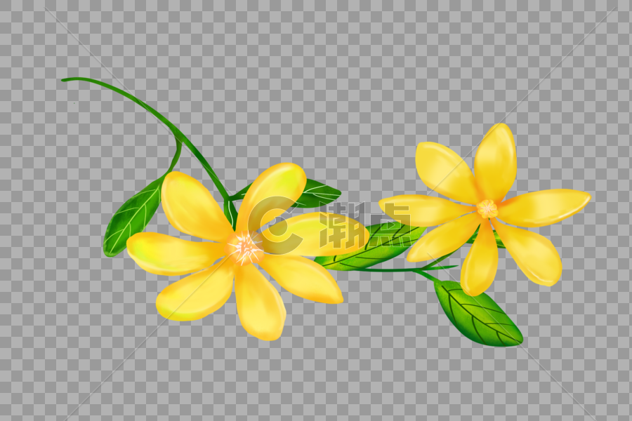 清明手绘原创水彩南方栀子花图片素材免费下载 高清版权图片可商用 潮点视频