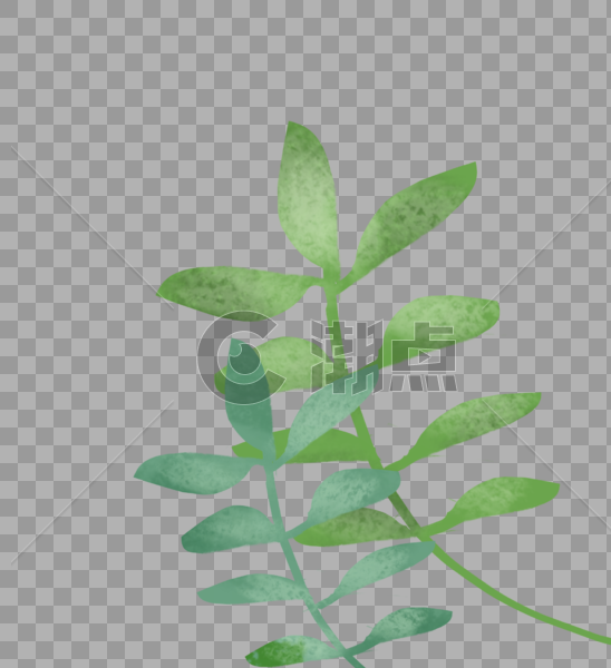 干花植物绿色小树苗图片素材免费下载