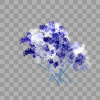 干花花卉植物装饰图案图片素材免费下载