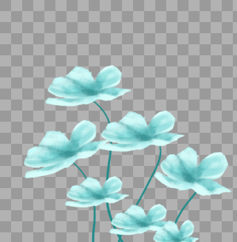干花花卉植物卡通装饰图片素材免费下载