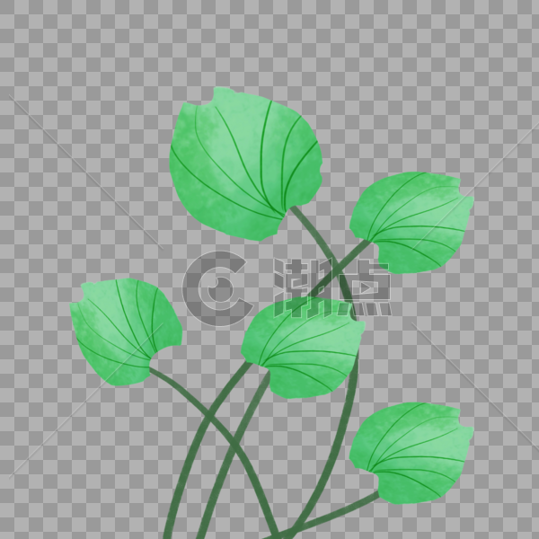 插画植物花卉干花图片素材免费下载