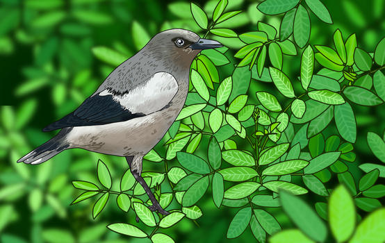 国风之鸟与树叶图片素材免费下载