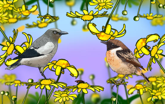 国风之鸟与花图片素材免费下载