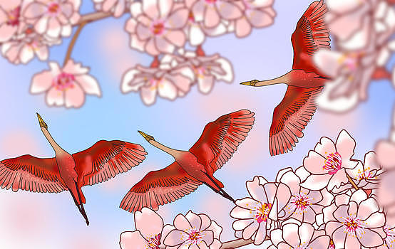 火红色飞翔的鸟儿图片素材免费下载