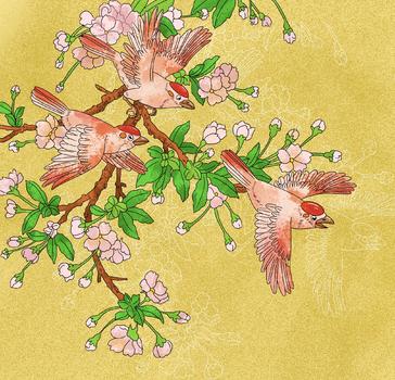 中国风国潮工笔画三只小鸟梅花图图片素材免费下载