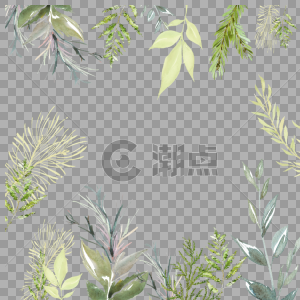 手绘植物边框图片素材免费下载
