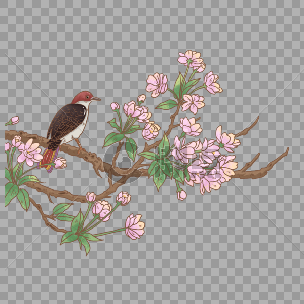 花枝上的小鸟图片素材免费下载