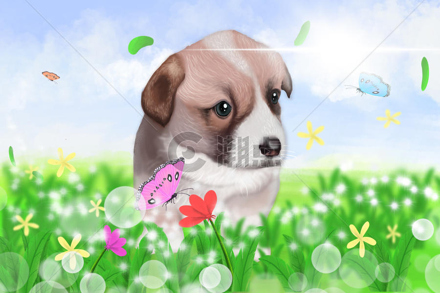 春天的草地上可爱小狗追逐蝴蝶图片素材免费下载