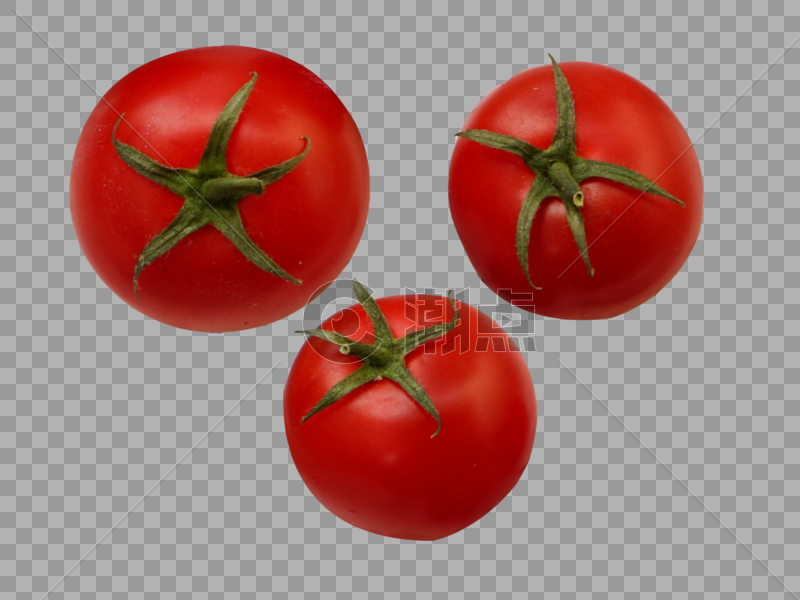 番茄图片素材免费下载