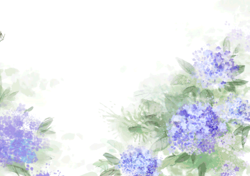紫阳花卉图片素材免费下载