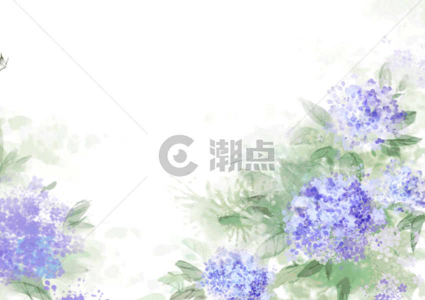紫阳花卉图片素材免费下载