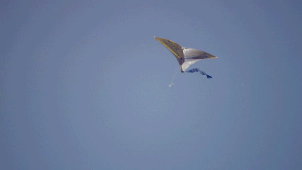 风筝飞翔GIF图片素材免费下载