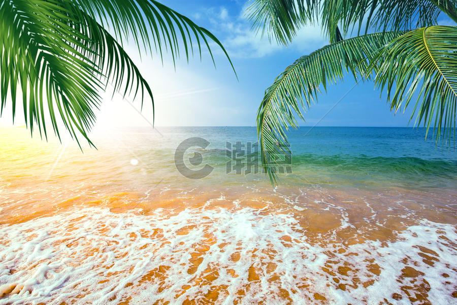 夏天的海滩图片素材免费下载