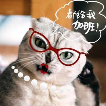 萌宠猫咪拟人创意摄影图片素材免费下载