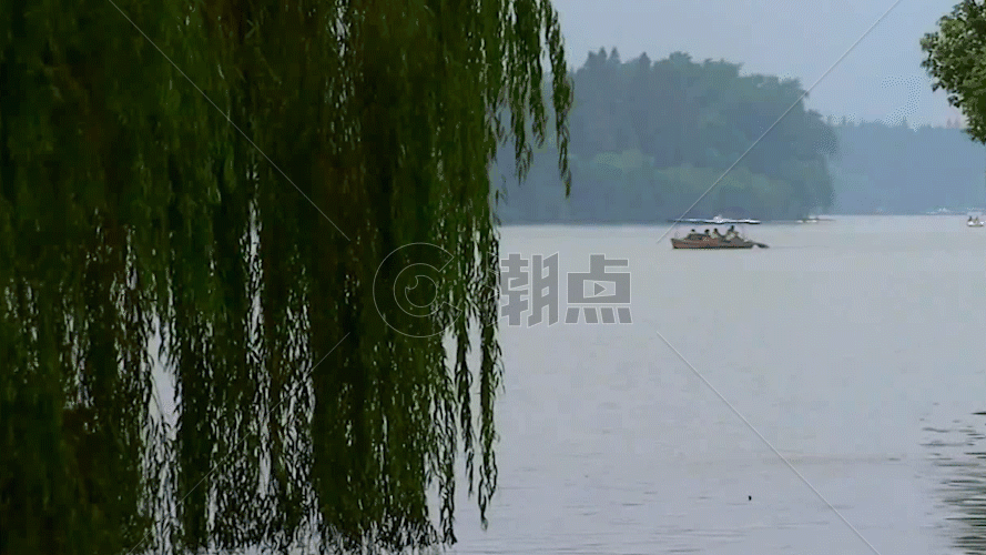 湖面垂柳GIF图片素材免费下载
