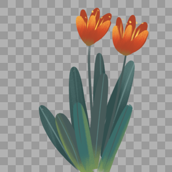 水彩绘画植物花朵图片素材免费下载