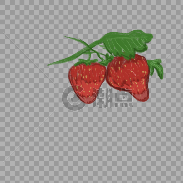 两颗新鲜的草莓插图图片素材免费下载