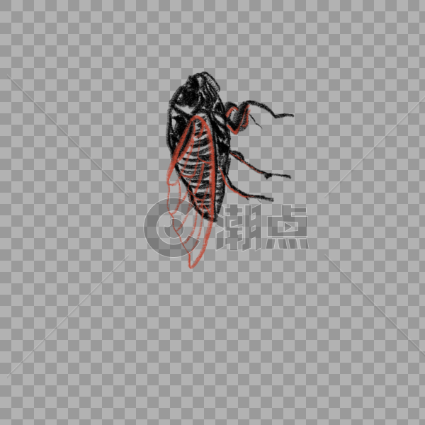 昆虫蝉装饰插图图片素材免费下载