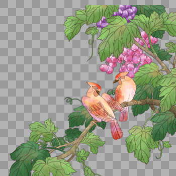 葡萄架上的小鸟图片素材免费下载