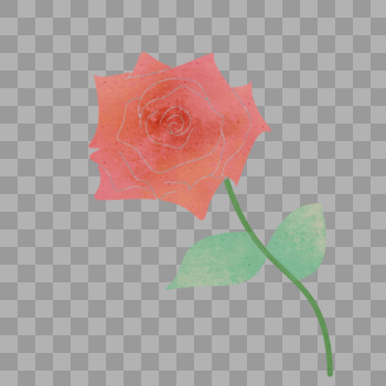 玫瑰花图片素材免费下载