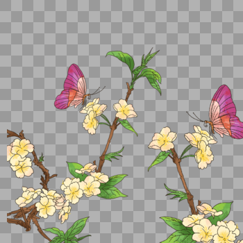 花枝上的蝴蝶图片素材免费下载