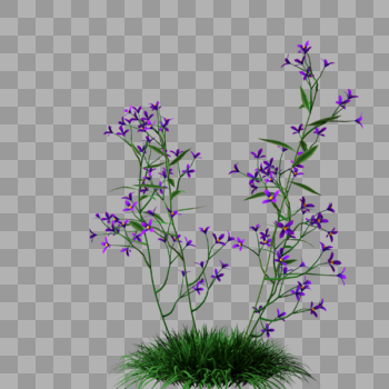 紫色小花草丛花卉图片素材免费下载