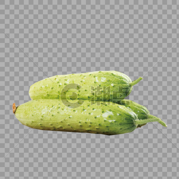 新鲜的黄瓜图片素材免费下载