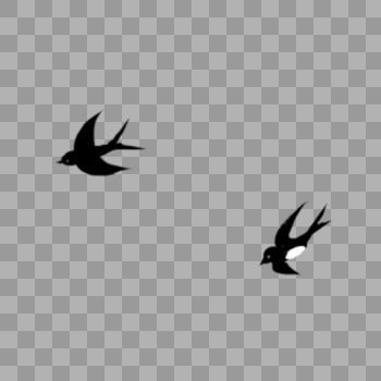 飞翔的燕子图片素材免费下载