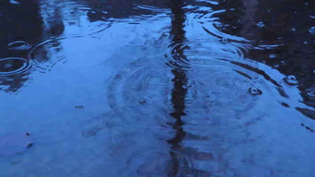 湖面雨滴GIF图片素材免费下载