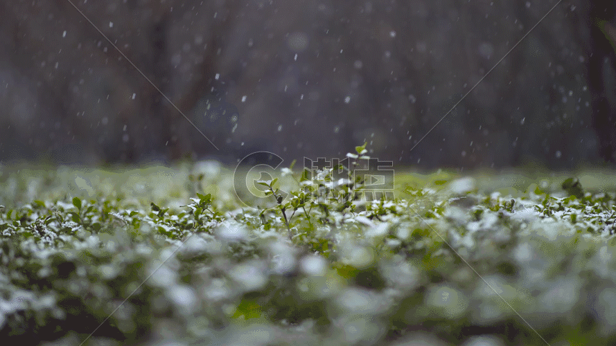 雪景绿草GIF图片素材免费下载