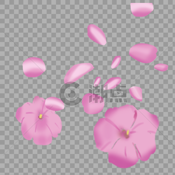 粉色花朵图片素材免费下载