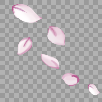 浅粉色花瓣图片素材免费下载