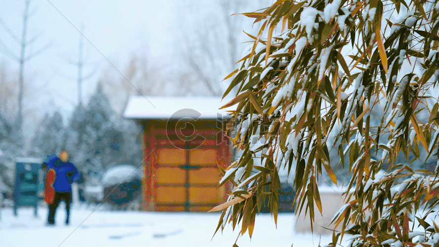 冬天的雪景GIF图片素材免费下载