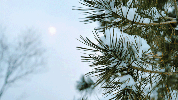 太阳雪景的唯美GIF图片素材免费下载