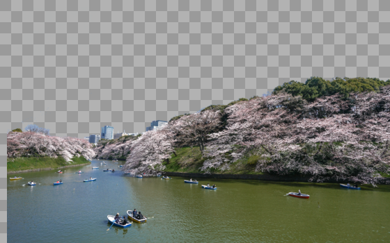 东京盛开河畔樱花图片素材免费下载