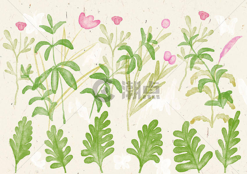 手机壳水彩植物背景图片素材免费下载