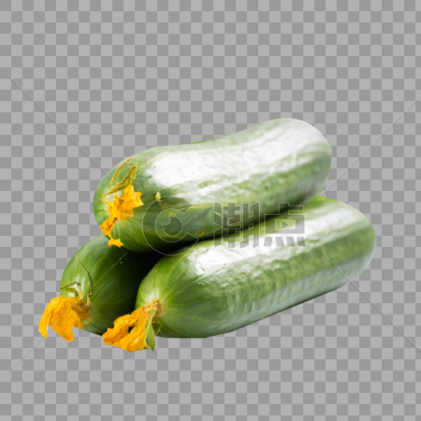 新鲜的小黄瓜图片素材免费下载