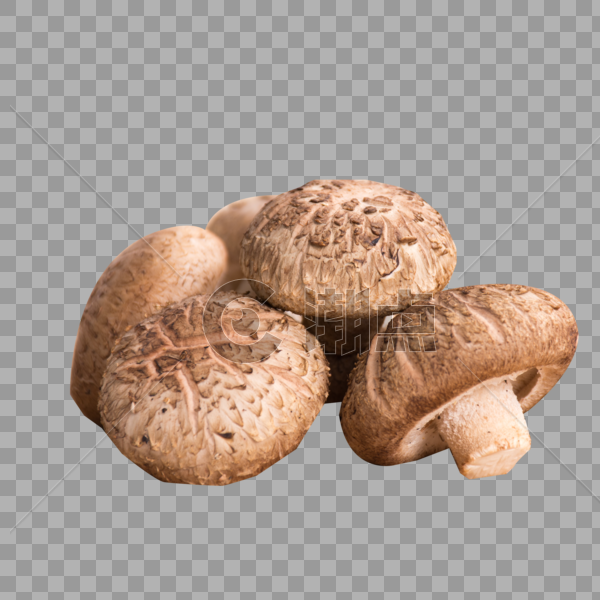 新鲜的香菇图片素材免费下载