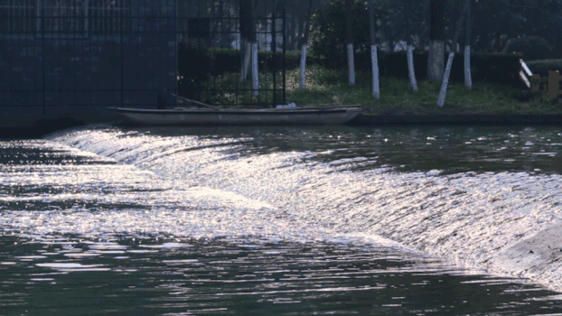 流动的湖水实拍GIF图片素材免费下载