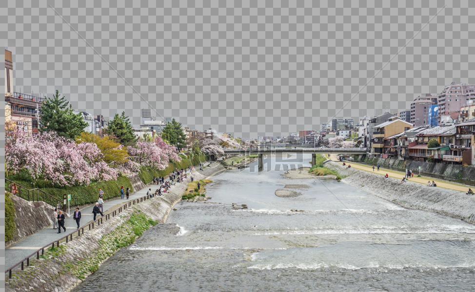 日本东京樱花季图片素材免费下载