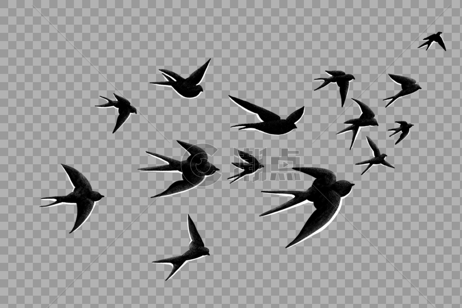 春天的燕子图片素材免费下载