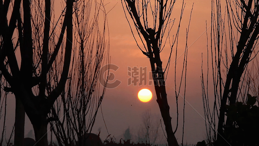 夕阳下的行人树木剪影GIF图片素材免费下载