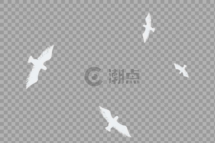 飞翔的鸟图片素材免费下载