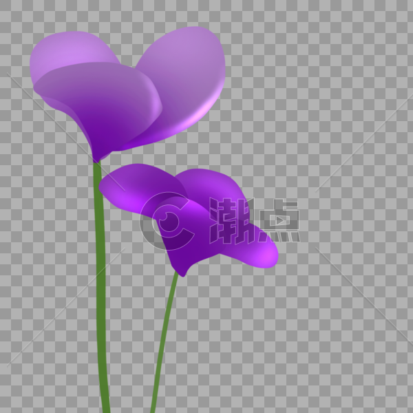 紫罗兰花元素图片素材免费下载