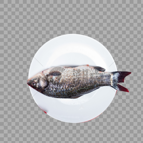 新鲜美味的鱼图片素材免费下载