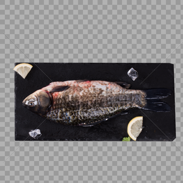 新鲜的鱼图片素材免费下载