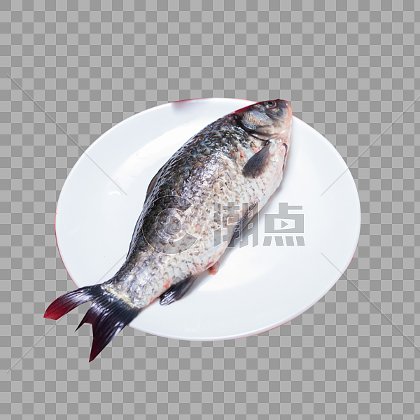 新鲜美味的鱼图片素材免费下载