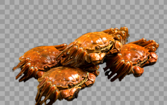大螃蟹图片素材免费下载