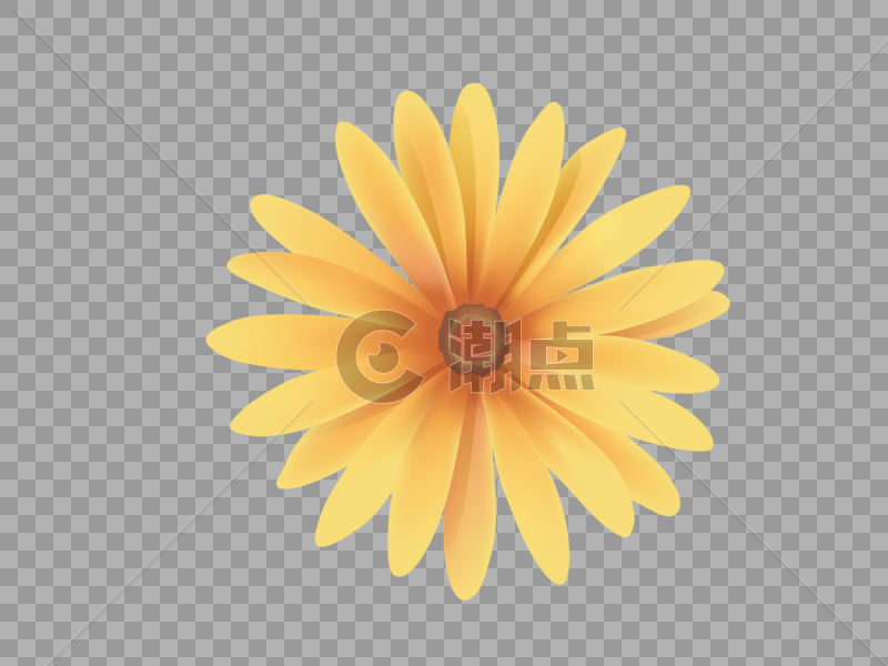 黄色菊花矢量图元素图片素材免费下载