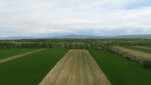 新疆航拍农业科技麦田GIF图片素材免费下载